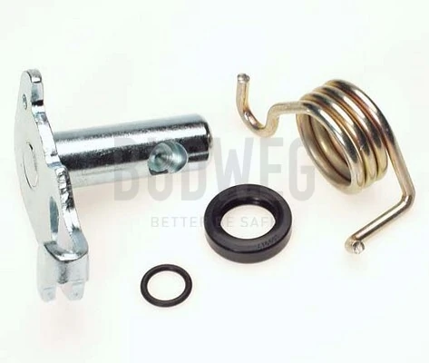 Repair Kit, parking brake lever (brake caliper)